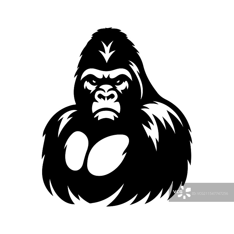 西部大猩猩的剪影，令人惊叹图片素材