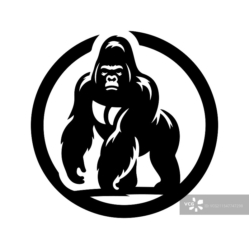 西部大猩猩的剪影，令人惊叹图片素材