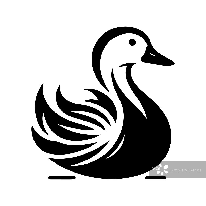 高质量的白脸鸣鸭图片素材