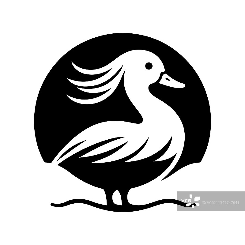 高质量的白脸鸣鸭图片素材