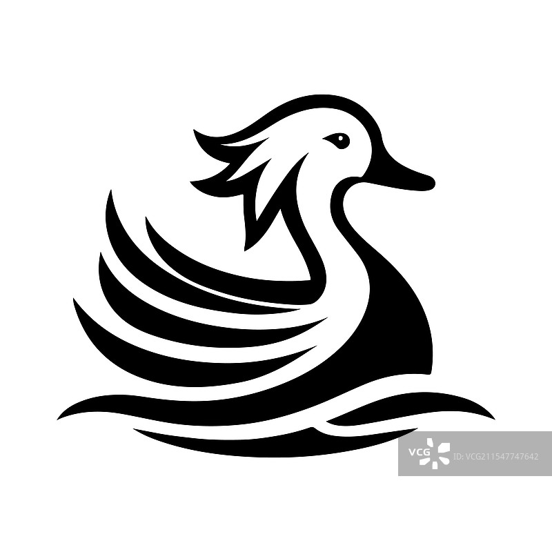 高质量的白脸鸣鸭图片素材