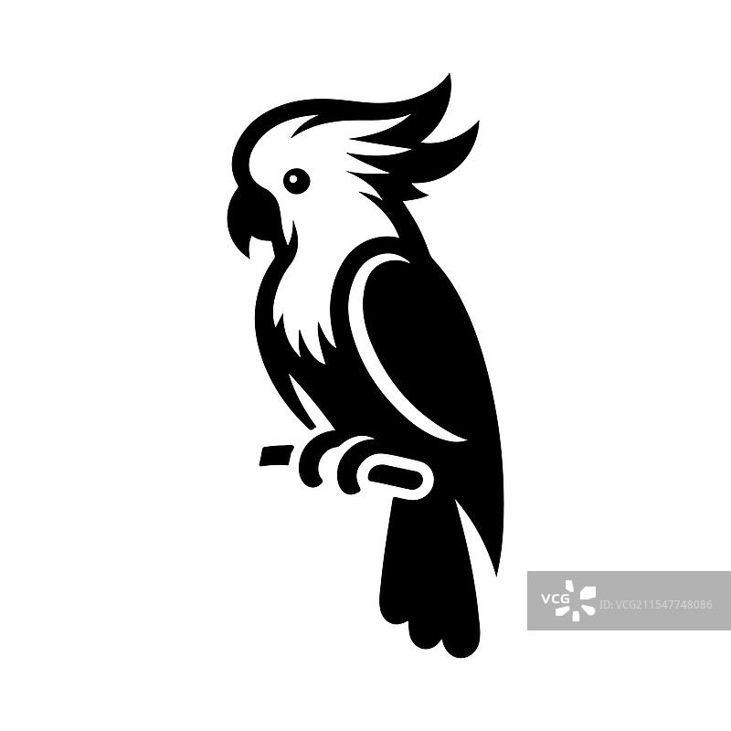 优雅的白色鹦鹉剪影用于图形设计图片素材
