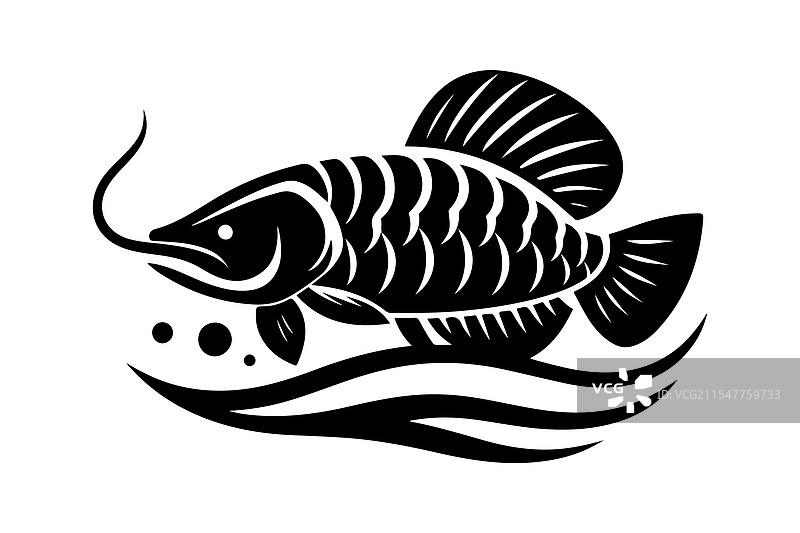 创作令人惊叹的龙鱼剪影艺术作品图片素材