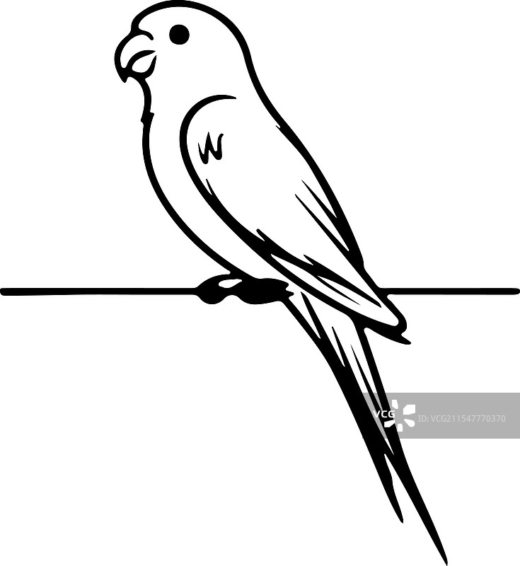 迷人的爱情鸟剪影图片素材