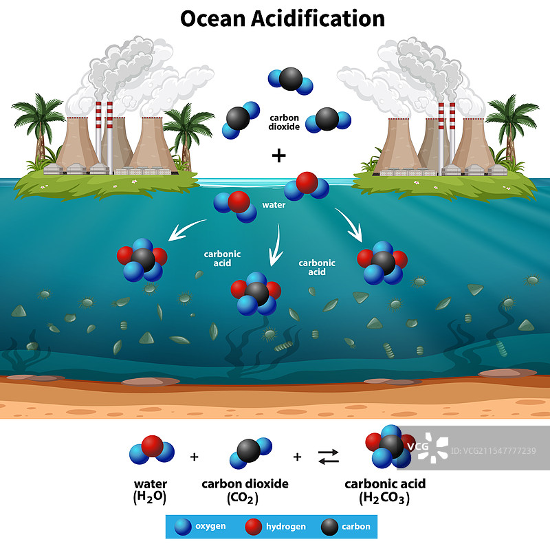 海洋酸化过程及其化学反应图片素材