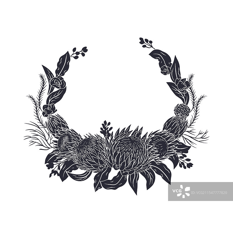 手绘单色线条艺术热带王莲图片素材