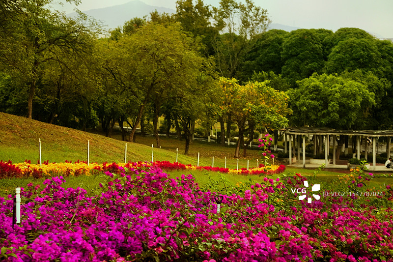 紫马岭公园图片素材