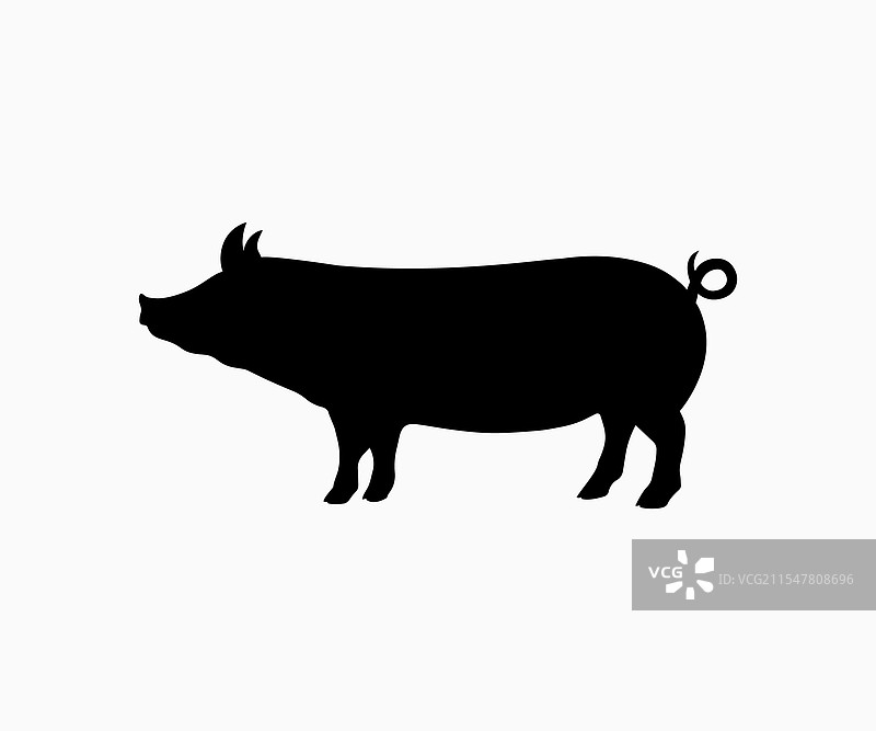 猪的剪影和猪的标志符号图片素材