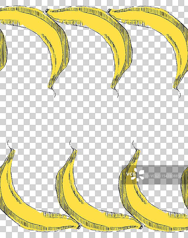 热带香蕉水果的横向图形图片素材