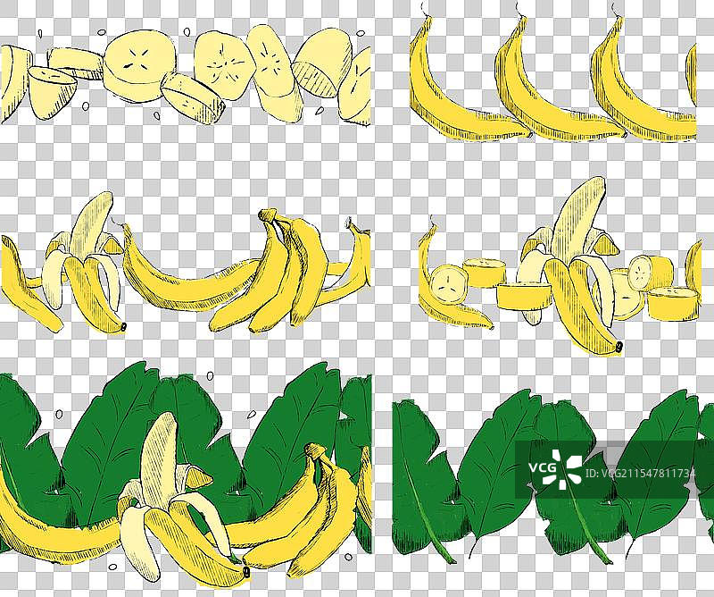 香蕉片和热带叶子的边框图片素材