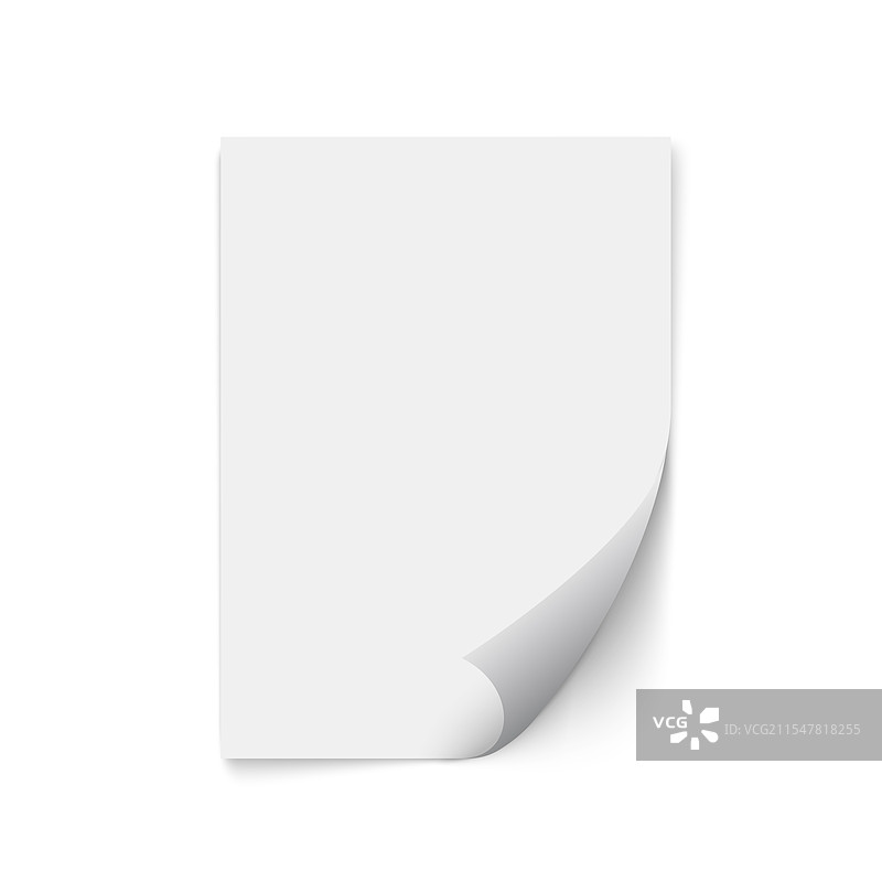 逼真的卷曲纸张空白模板展示图片素材