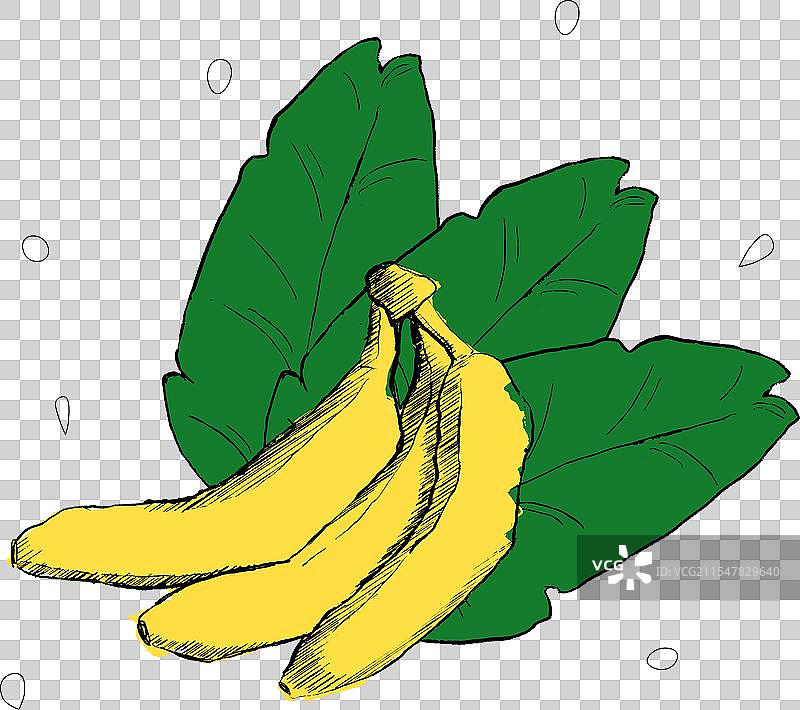 复古风格的异国情调香蕉与叶子的组合图片素材