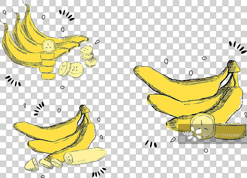 和艺术热带水果黄色香蕉的组合图片素材