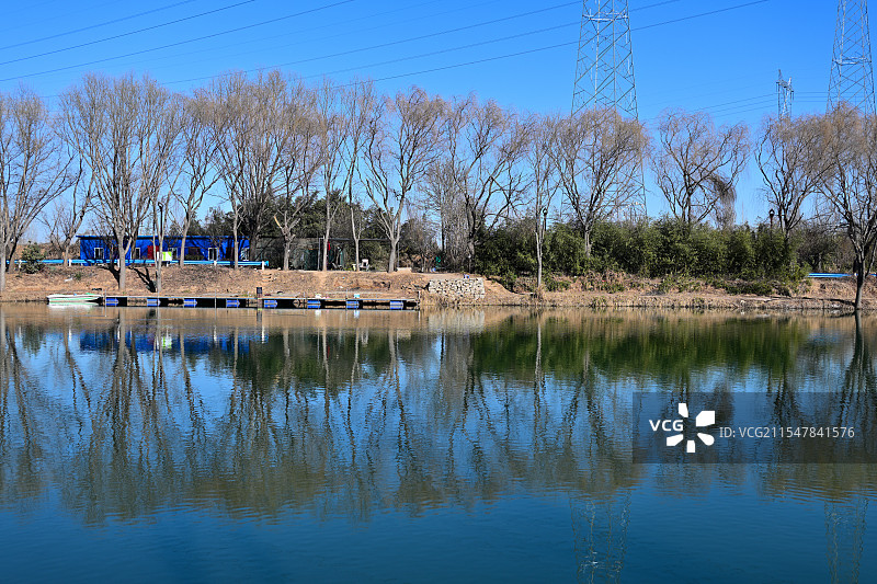 冬日汤河边上的秃树林，河南安阳汤阴，2025年1月图片素材