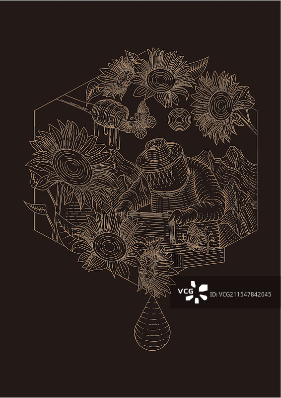 蜂蜜版画包装设计图片素材