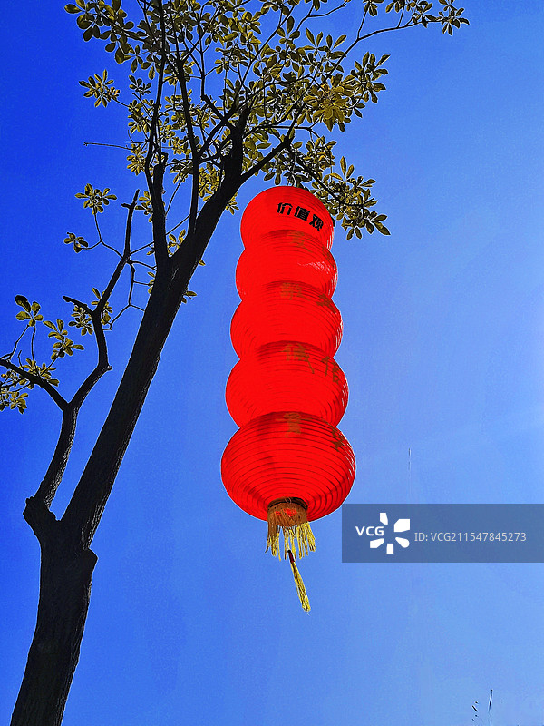 红灯笼高高挂图片素材