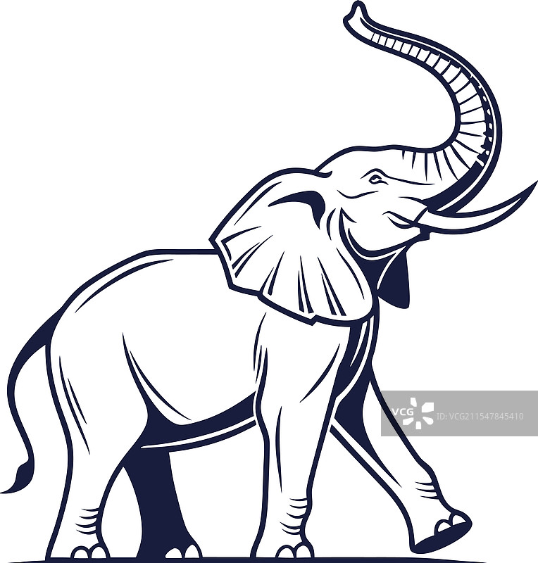 卡通大象，背景为白色图片素材