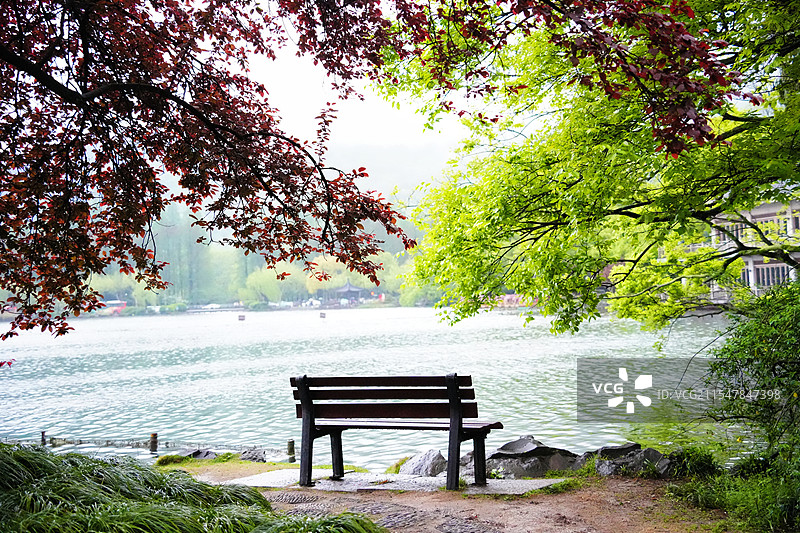 杭州花港公园里的空长凳图片素材