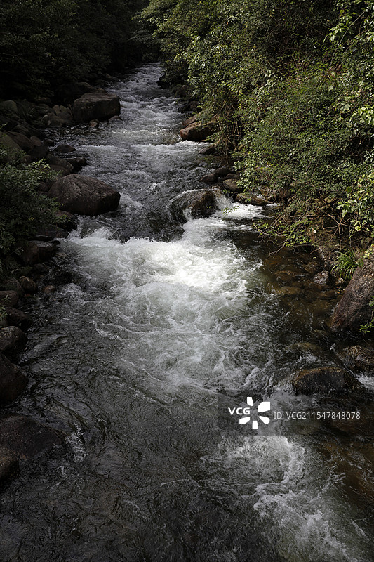 广西贺州市姑婆山小溪流图片素材