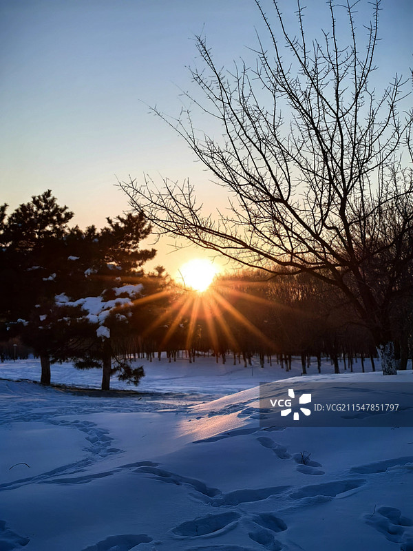 冬日夕阳图片素材