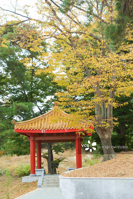朝鲜开城市“中国人民志愿军烈士陵园”图片素材