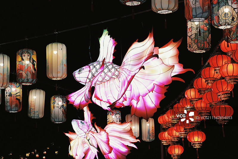 花灯如昼，芳春可赏合肥逍遥津灯展图片素材