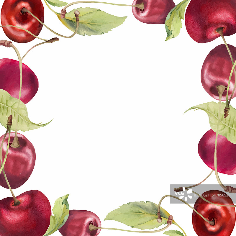 手握着带绿叶的酸甜红樱桃图片素材