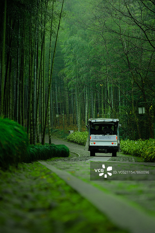 杭州云栖竹径图片素材