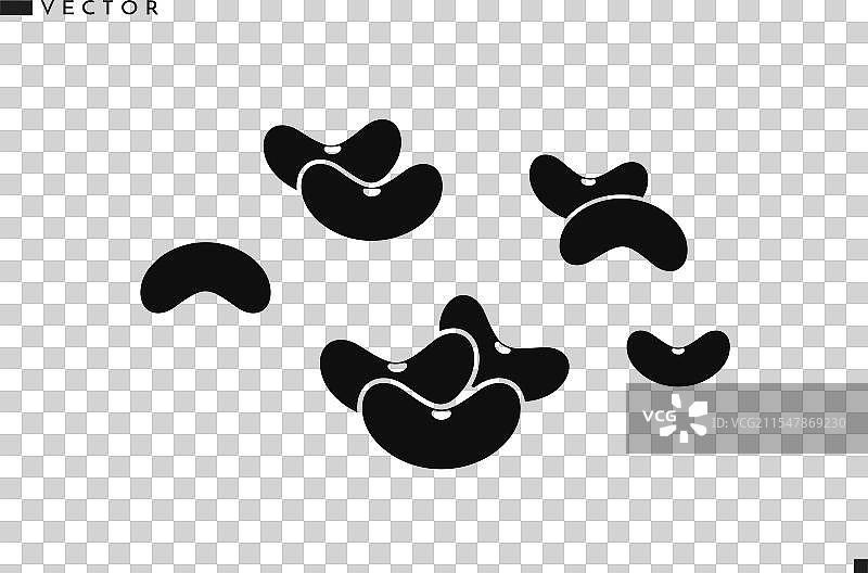 黑腰豆图片素材