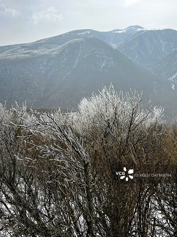 济州岛-汉拿山图片素材