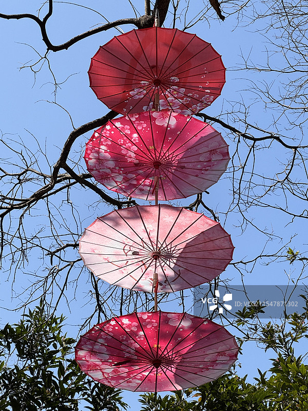 伞与光影图片素材