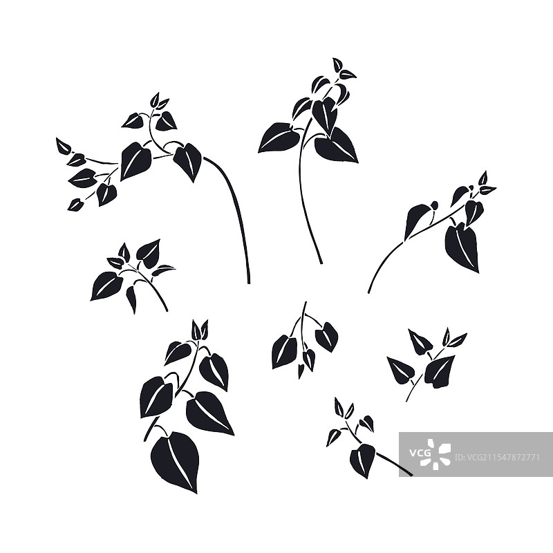 手绘墨水素描风格的荨麻植物图片素材