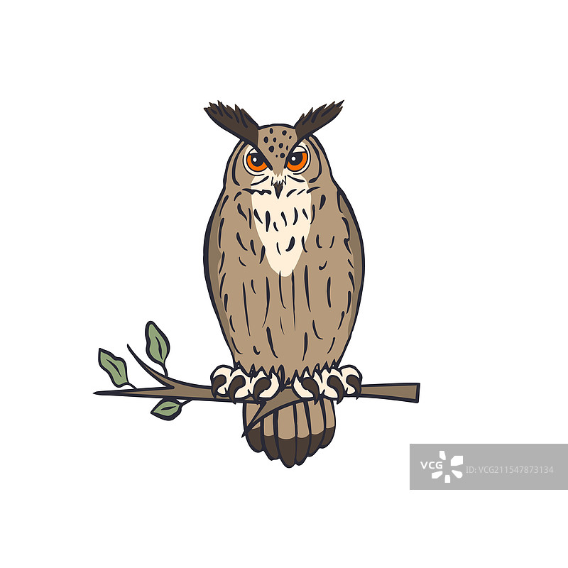 手绘线条艺术的鹰鸮栖息在树上图片素材