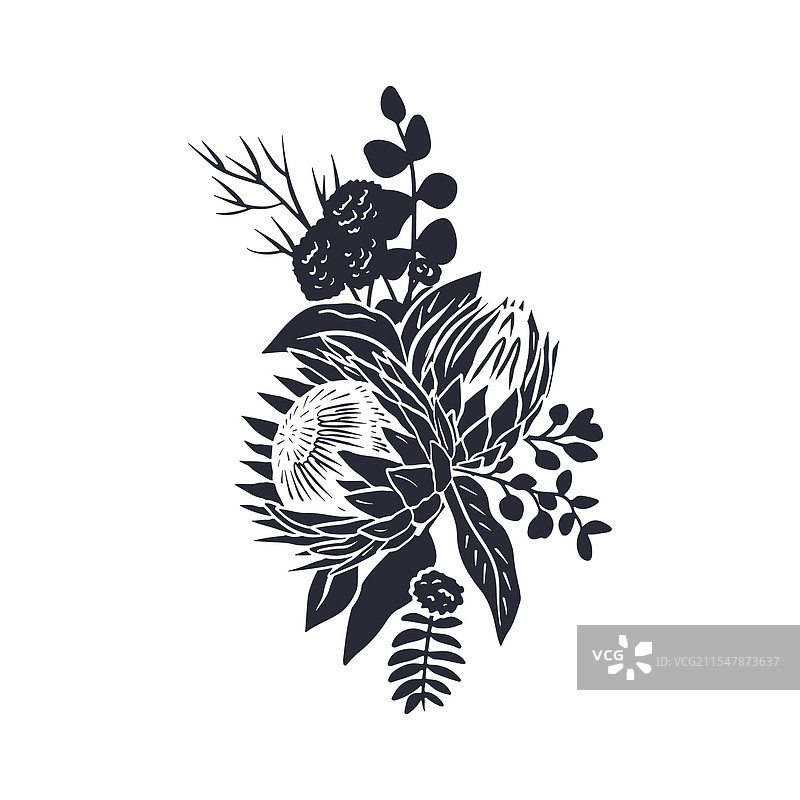 热带王花的黑色剪影图片素材