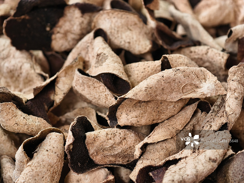 新会陈皮图片素材