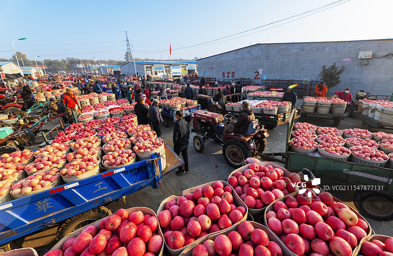 苹果市场图片素材