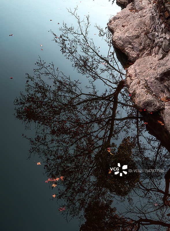 湖边河畔丨流光倒映图片素材