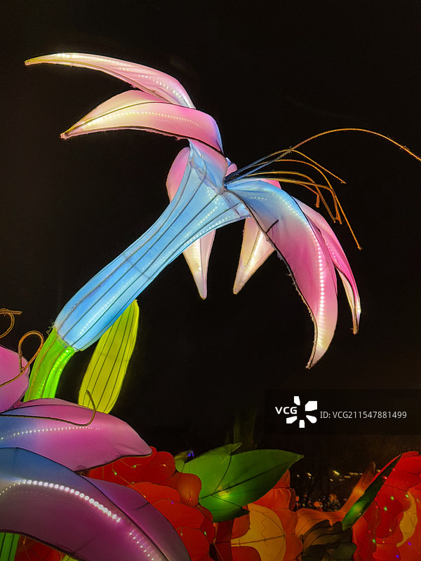 夜景-花灯（大洋湾生态旅游景区）图片素材