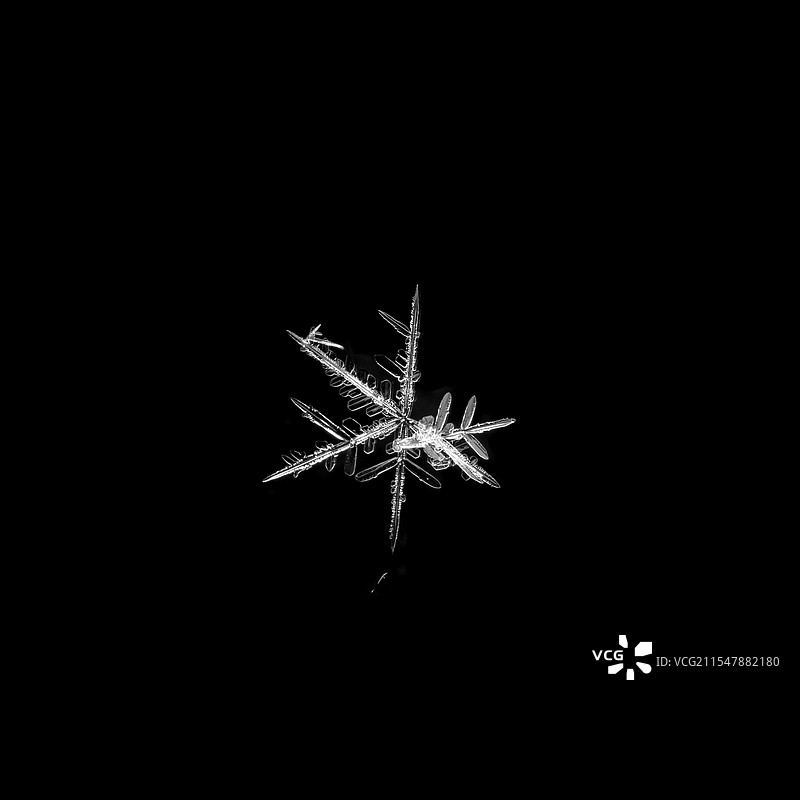 黑背景下的雪花特写微距图片素材