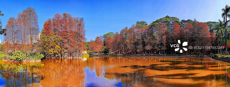 全景拍摄广州天河公园秋色图片素材