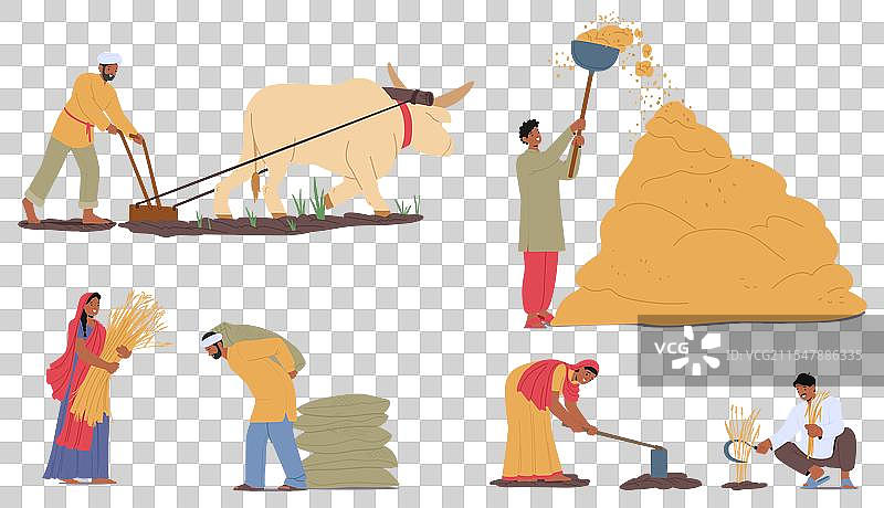 以印度为特色的传统农业活动图片素材