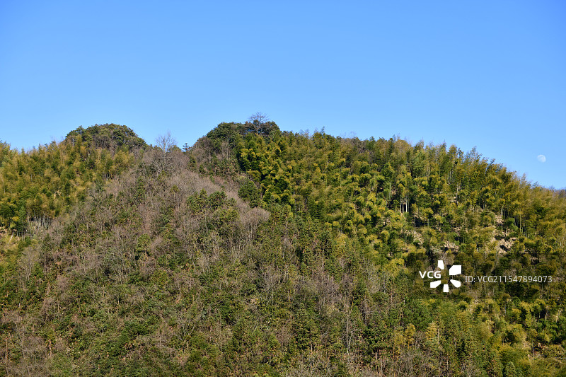植被茂密的山丘风景，青山蓝天背景图片素材