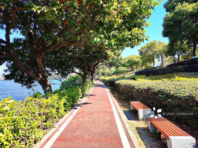 景色怡人的滨江漫步绿道图片素材