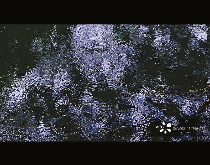 杭州西湖景区雨滴落的湖面图片素材