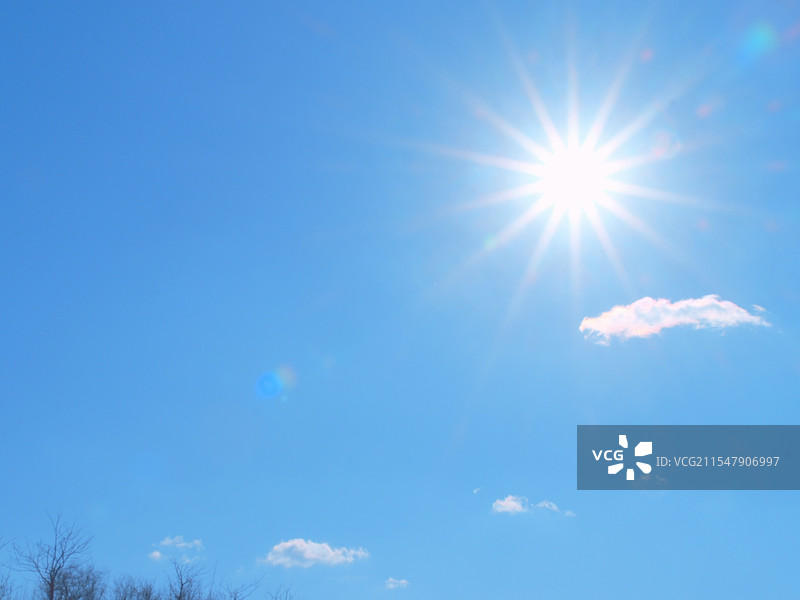 蓝天白云、阳光、树木（晴空万里的风景照）图片素材