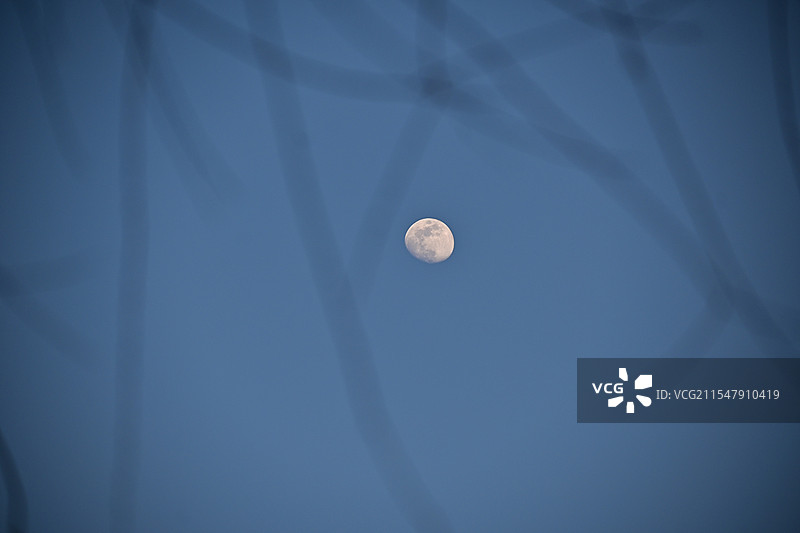 蓝调时刻的月亮图片素材