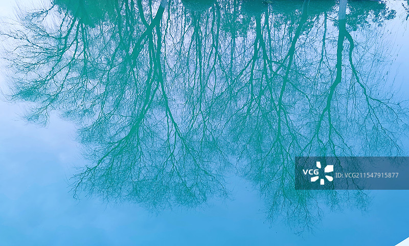 《水中倒影》图片素材