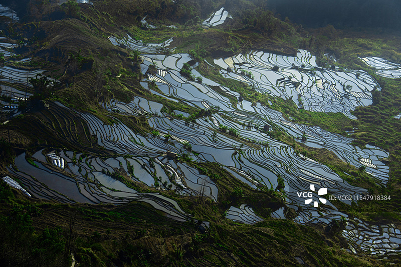元阳梯田老虎嘴俯拍图片素材