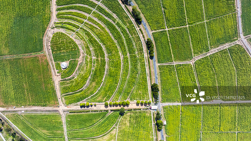 航拍视角下的绿色田野纹理图片素材