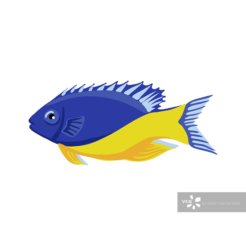 绘制热带鱼图片素材